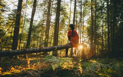 Encuentra la calma interior a través del mindfulness